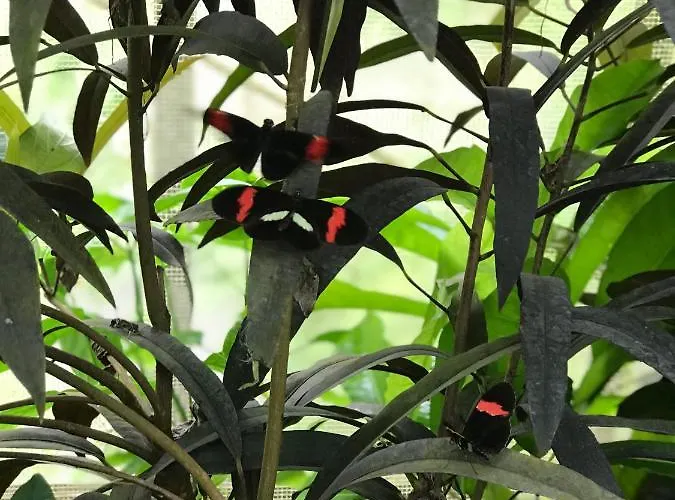 Hegau- Bodensee Og 公寓 Muhlhausen-Ehingen