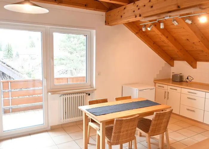 公寓 Hegau- Bodensee Og *